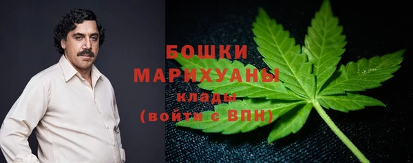 стафф Ельня
