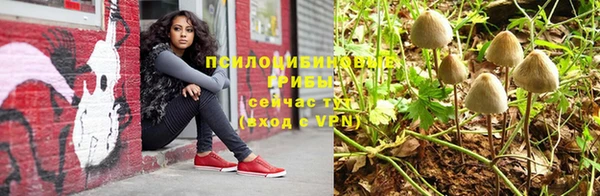 стафф Ельня