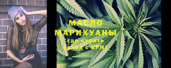 стафф Ельня