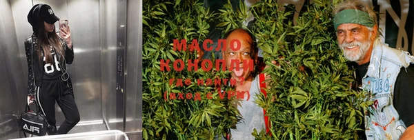 стафф Ельня