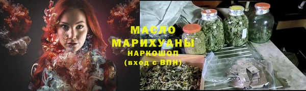 стафф Ельня