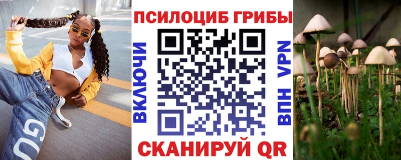 Псилоцибиновые грибы мухоморы  kraken рабочий сайт  Минусинск  как найти  